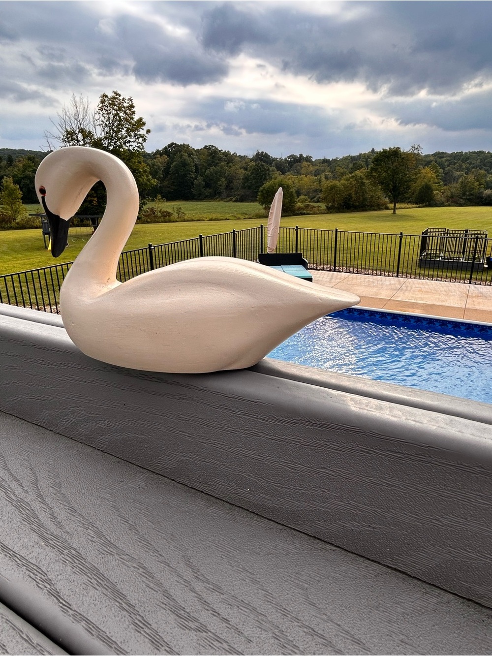 Vintage Wooden Swan Figurine Cream Bird Sculpture Decoy decor - Picture 8 of 8